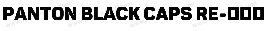 Panton Black Caps Re字体转换